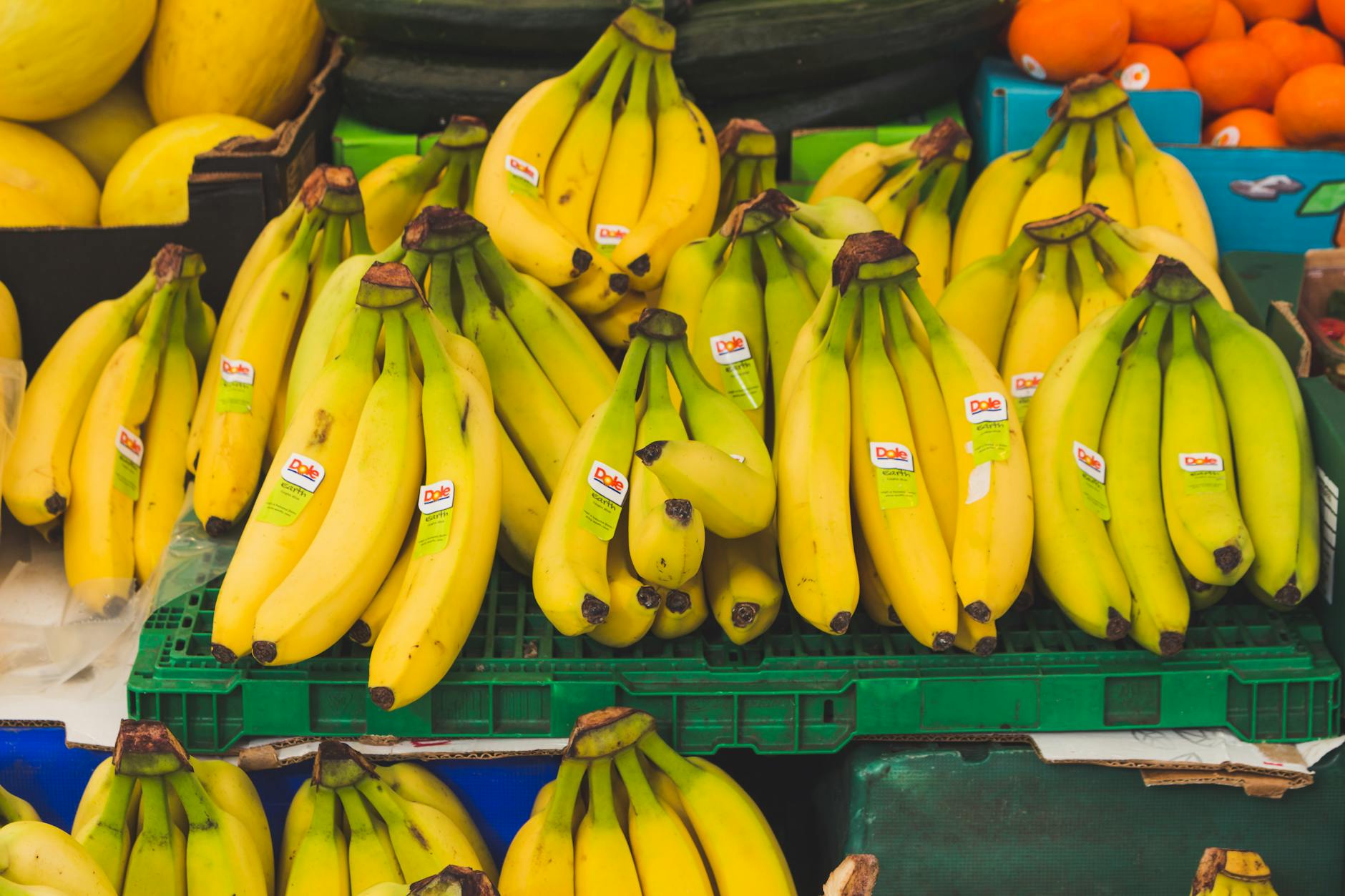 bunch of banana fruits